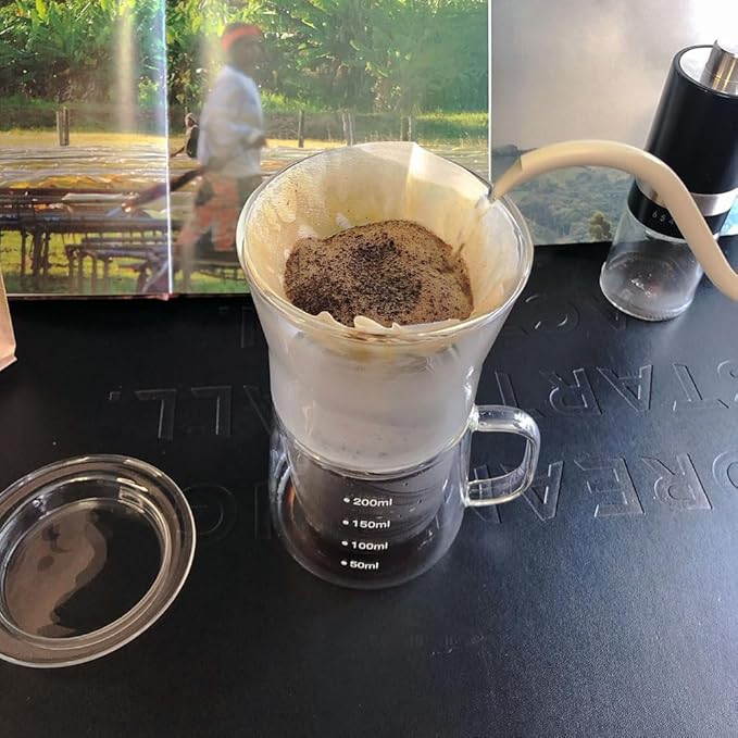 TaiLake Coffee Self Brewing Cup - Perfect for Single Serve Coffee - Experience the Art of One Cup Pour Over Coffee Maker(Vortex Filter Set)