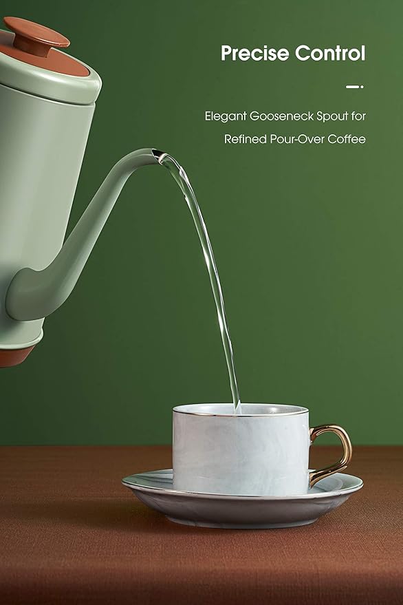 DmofwHi Gooseneck Electric Kettle(1.0L), 100% Stainless Steel BPA Free Classic Pour Over Coffee Kettle | Tea Kettle - Green