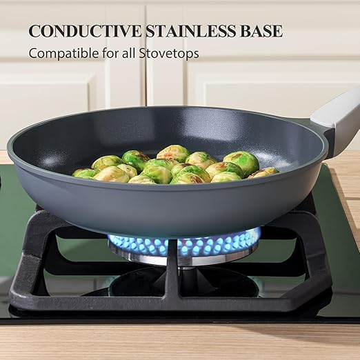 PRICUSIS Nonstick Ceramic Frying Pan, Skillet with Stay Cool Handle, Egg & Omelet & Chef's Pan, Induction Compatible & Oven Safe, Dishwasher Safe, PTFE PFAS & PFOA Free (8+12 Inch)